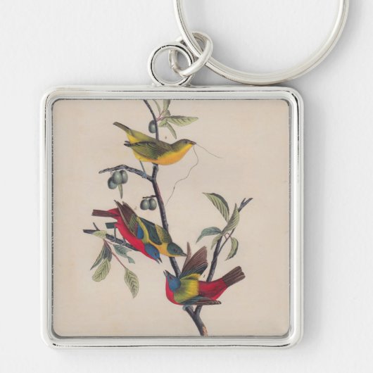 Porte-clés Audubon Peint Bunting Bird Wildlife (Devant)