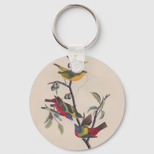 Porte-clés Audubon Peint Bunting Bird Wildlife (Recto)