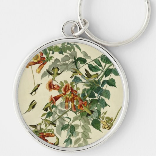 Porte-clés Audubon Throsé de colibri (Devant)