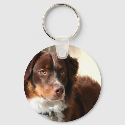 Porte-clés Australian Shepherd keychain (Recto)