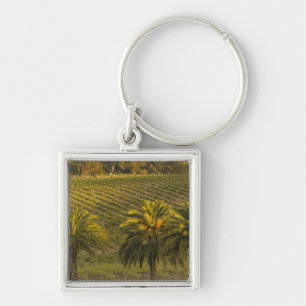 Porte-clés Australie, Australie-Méridionale, Barossa Valley,