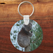Porte-clés Australie Kangaroo Island Koala dans un arbre (Recto)