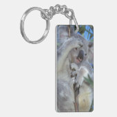 Porte-clés Australie, Koala Phasclarctos Cinereus) (Devant gauche)