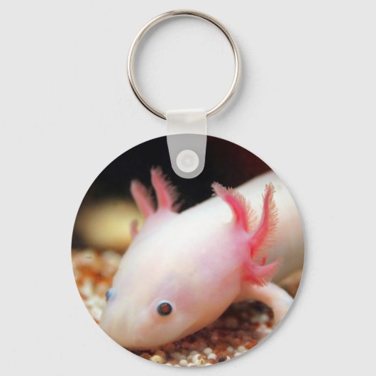 Porte-clés Axolotl (Recto)