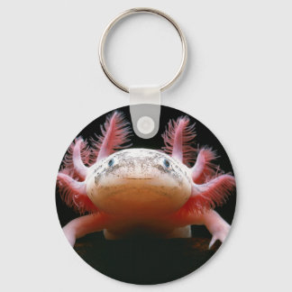 Porte-clés Axolotl.png