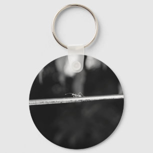 Porte-clés B&W - Ant Weaver