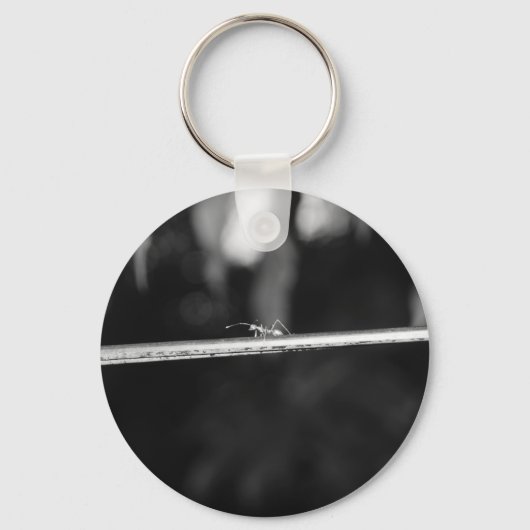 Porte-clés B&W - Ant Weaver (Recto)