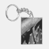 Porte-clés B&W - Spider 02 (Devant gauche)