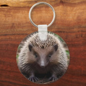 Porte-clés Baby Australian Echidna, (Recto)