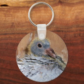 Porte-clés Baby Homing Porte - clé Pigeon (Recto)