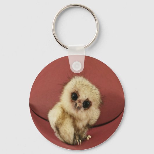 Porte-clés Baby Owl Porte - clé (Recto)