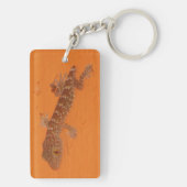Porte-clés Baby Tokay Gecko (Dos)