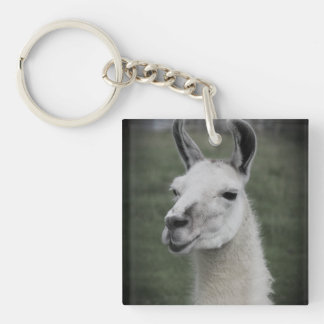 Porte-clés Badge Llama