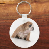 Porte-clés Bague à clé de chiot bulldog mignonne (Recto)