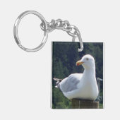Porte-clés Bague à clé Seagull (Devant gauche)