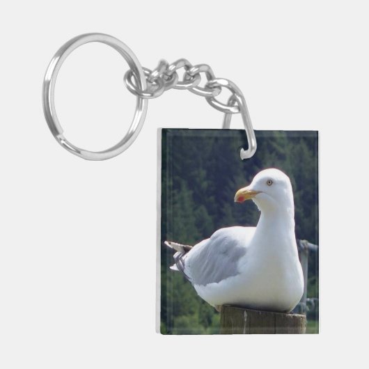 Porte-clés Bague à clé Seagull (Devant gauche)