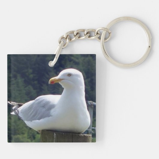 Porte-clés Bague à clé Seagull (Dos)