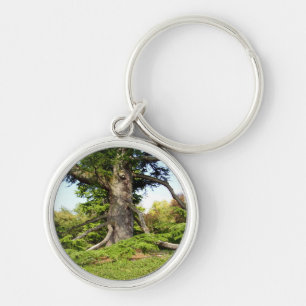 Porte-clés Bague clé de l'arbre du cèdre du Liban
