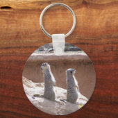 Porte-clés Bague clé de patrouille de Meercat (Recto)