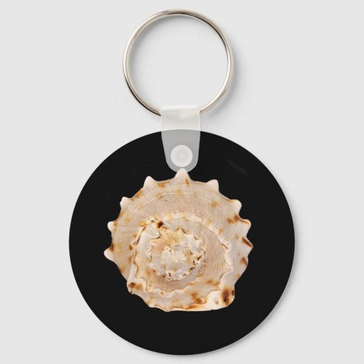 Porte-clés Bague de clé de coquille de conique (Recto)