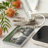 Porte-clés Baignade de sable âne (Devant droit)
