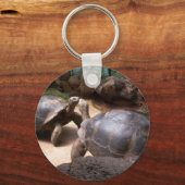 Porte-clés Baiser de tortue géante (Recto)
