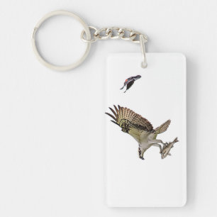 Porte-clés Balbuzard pêché par un oiseau-noir à ailes rouges