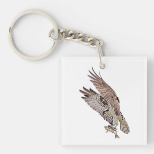 Porte-clés Balbuzard pêcheur avec poisson