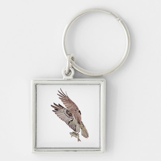 Porte-clés Balbuzard pêcheur avec poisson (Devant)