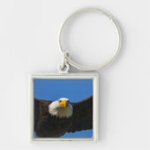 Porte-clés Bald Eagle Flyby Up Close (Devant)