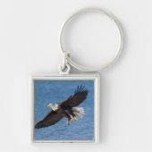 Porte-clés Bald eagle in flight (Devant)