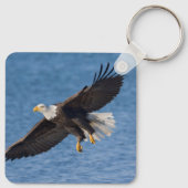 Porte-clés Bald eagle in flight (Dos)