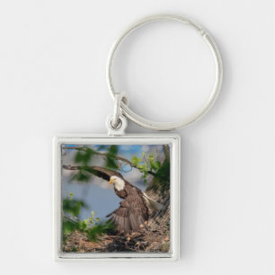 Porte-clés Bald Eagle quittant le nid