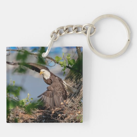 Porte-clés Bald Eagle quittant le nid (Dos)