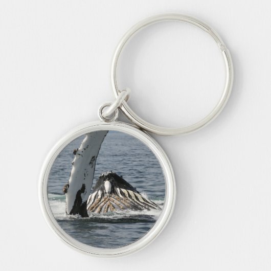 Porte-clés Baleine à bosse (Devant)