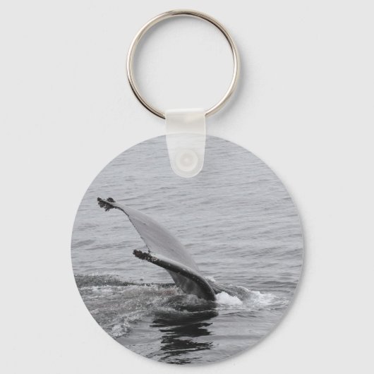 Porte-clés Baleine à bosse (Recto)