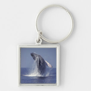 Porte-clés Baleine à bosse faisant une cabriole (Megaptera