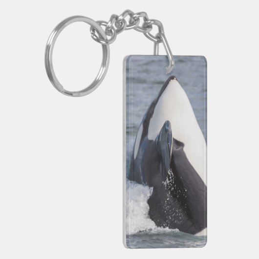 Porte-clés Baleine d'Orca (Devant gauche)
