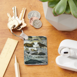 Porte-clés Baleines vintages, phoques et morses, animaux mari