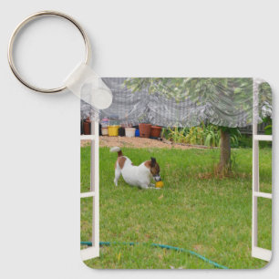 Porte-clés Balle de Jeu Fox Terrier, Clavier métallique