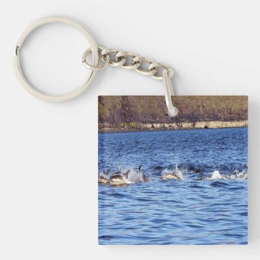 Porte-clés Banc de dauphins communs nageant en surface Océan (Devant)
