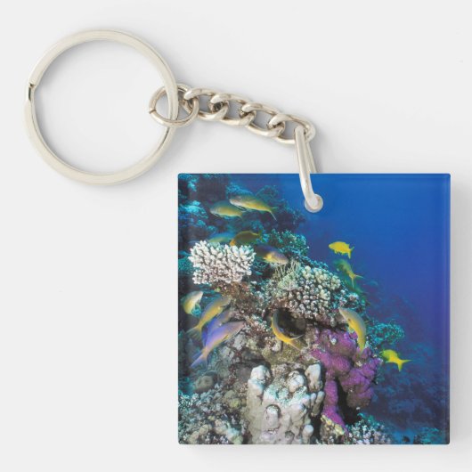 Porte-clés Banc de rougets autour d'un petit corail (Devant)