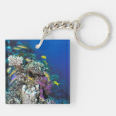 Porte-clés Banc de rougets autour d'un petit corail (Dos)