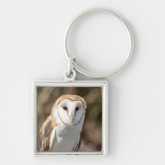 Porte-clés Barn Owl (Devant)
