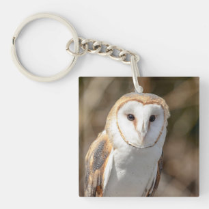 Porte-clés Barn Owl