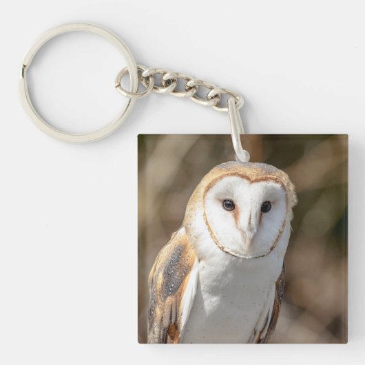 Porte-clés Barn Owl (Devant)