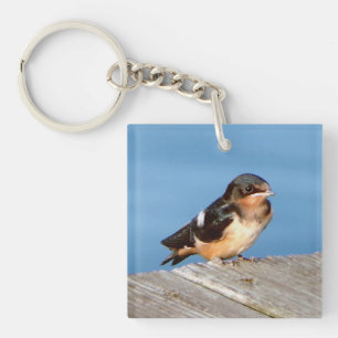Porte-clés Barn Swallow, clé acrylique