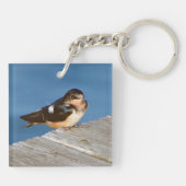 Porte-clés Barn Swallow clé acrylique chian (Dos)