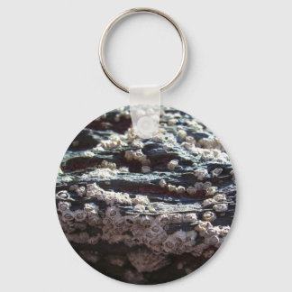 Porte-clés Barnacles 2