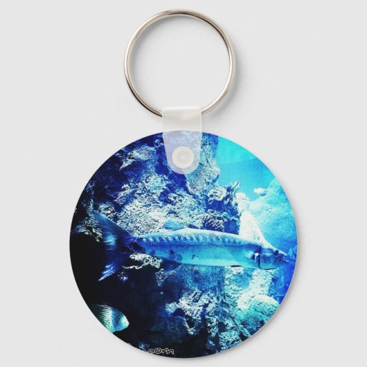 Porte-clés Barracuda (Recto)